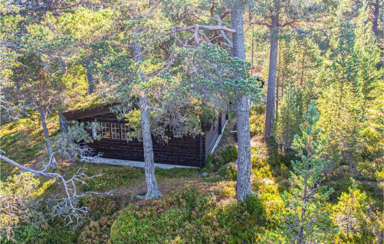 Awesome Home In Stranda With Kitchen エクステリア 写真